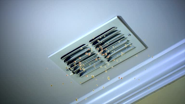 Best HVAC Air Duct Cleaning  in Zephyrhills South, FL