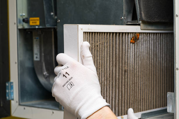 Best Air Quality Test  in Zephyrhills South, FL